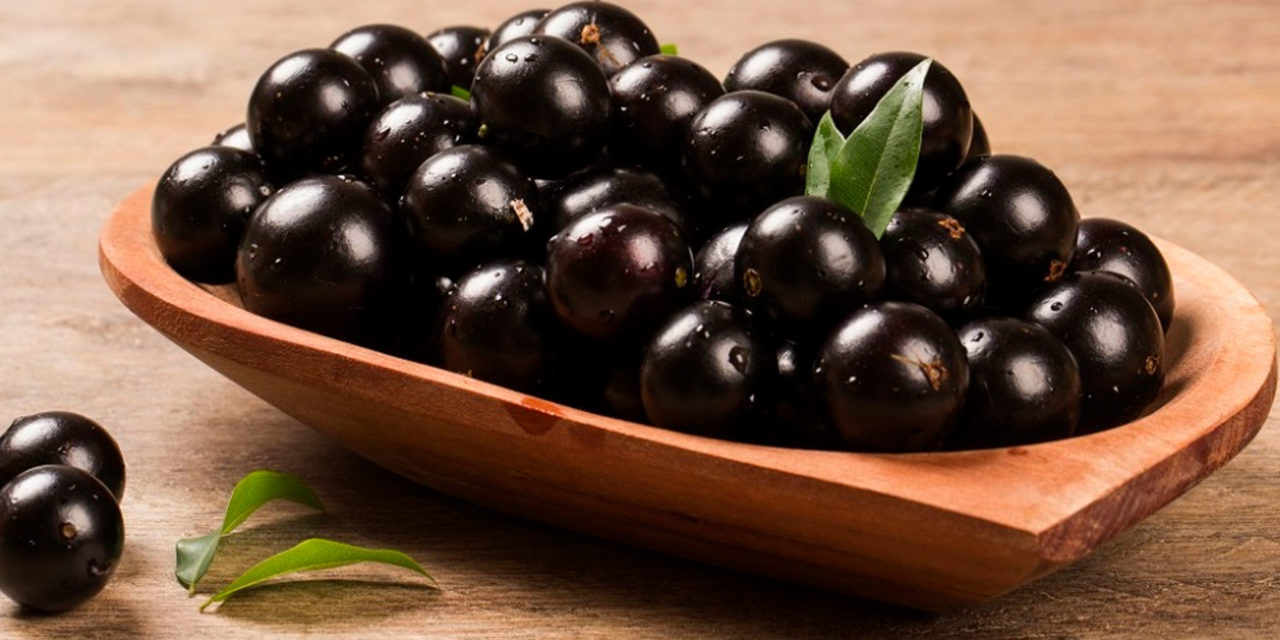 https://www.avanteingredientes.com.br/wp-content/uploads/2022/04/Estudo-com-Jabuticaba-cria-Novos-Produtos-1280x640.jpg